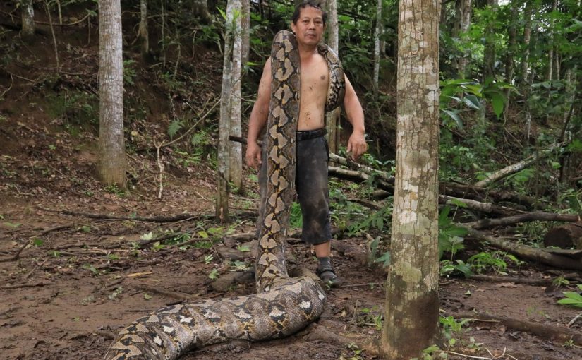 Longest Snake Ever Recorded Will Blow Your Mind!